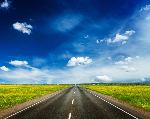 Straße in blühender Frühlingswiese — Stockfoto