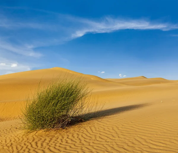 Dunas do deserto de Thar, Rajastão, Índia — Fotografia de Stock