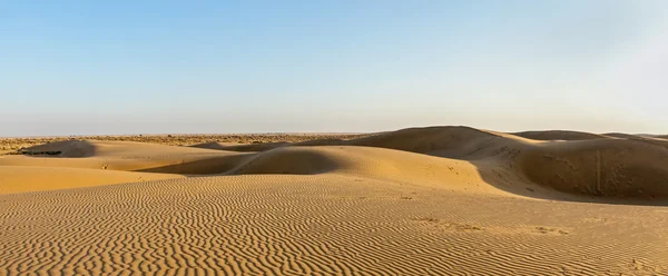 Panorama of dunes in Thar Desert