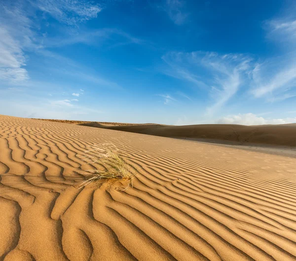 印度、 拉贾斯坦邦的塔尔沙漠的沙丘 — 图库照片