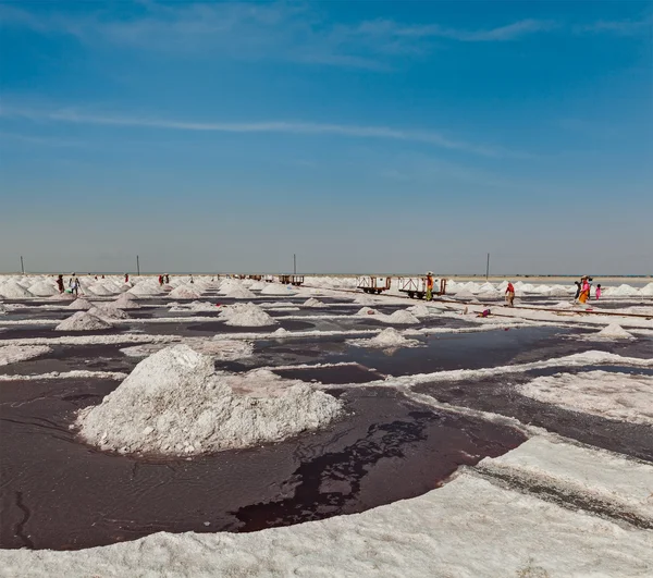 Zoutmijn in sambhar lake — Stockfoto