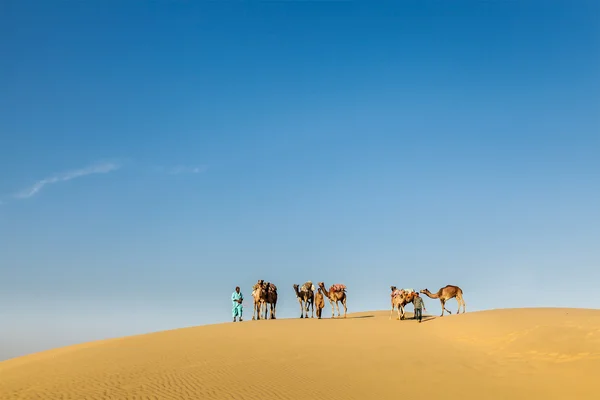 Três cameleers com camelos em dunas — Fotografia de Stock