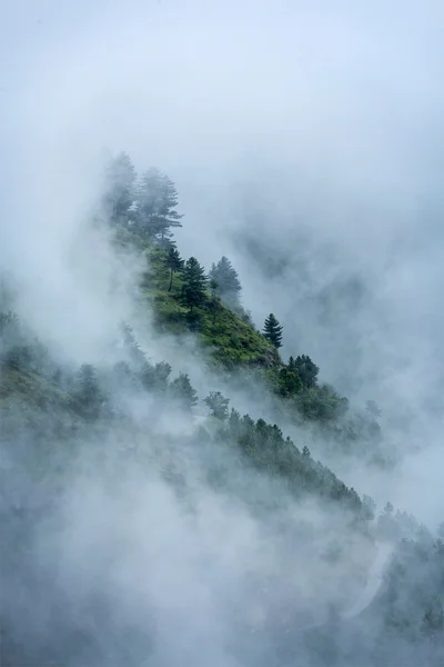 Alberi in nuvole — Foto Stock