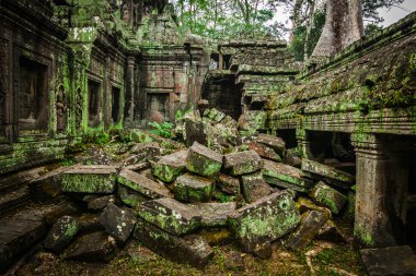 Ancient ruins of Ta Prohm temple, Angkor, Cambodia clipart