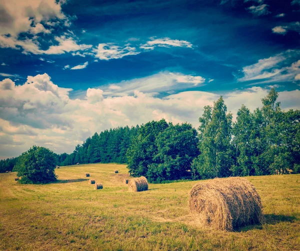 Hay bales on field — Stock Photo, Image