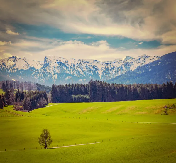 Немецкая идиллическая сельская местность весной с Альпами — стоковое фото