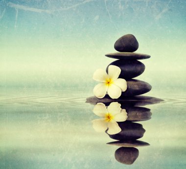 Zen taşlar ile frangipani plumeria çiçek
