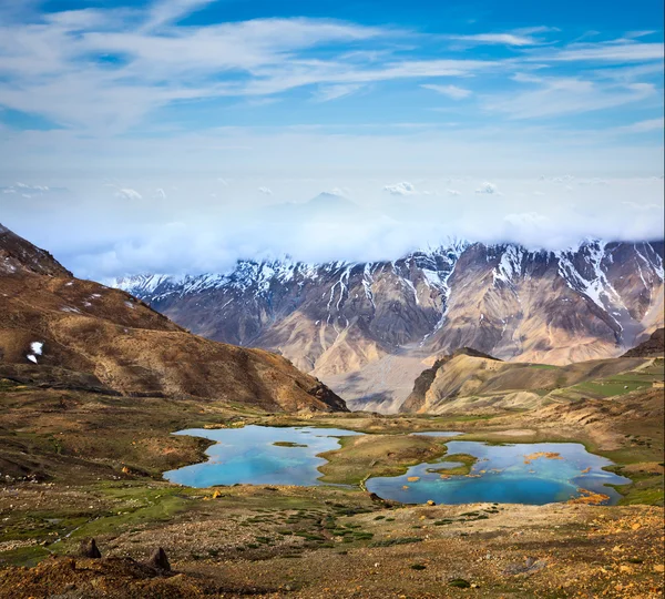 Stream in Nubra valley in Hunder, Nubra valley, Ladakh, India