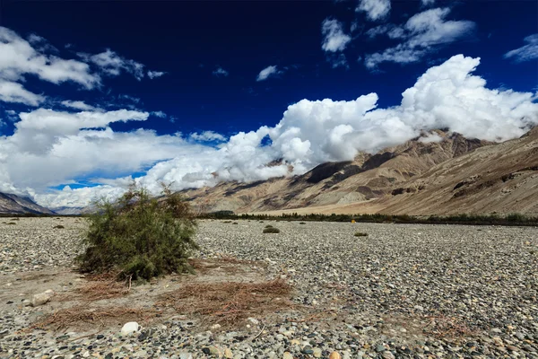La valle di Nubra in Himalaya. Ladakh, India — Foto Stock