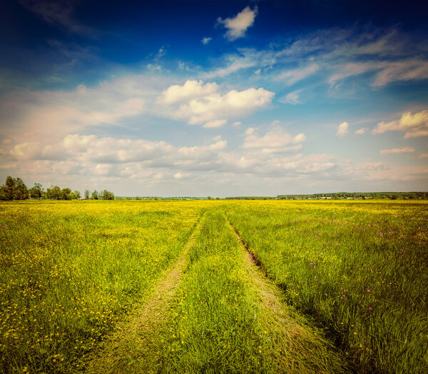 Spring summer - rural road in green field scenery lanscape