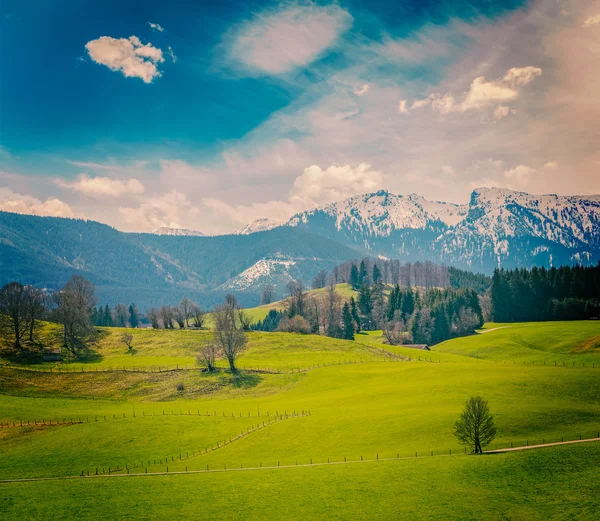 Duitse idyllische pastorale platteland in het voorjaar van — Stockfoto