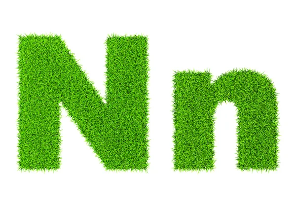 Grass letter N — Stock Photo, Image