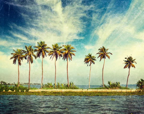 Kerala backwaters — Stockfoto