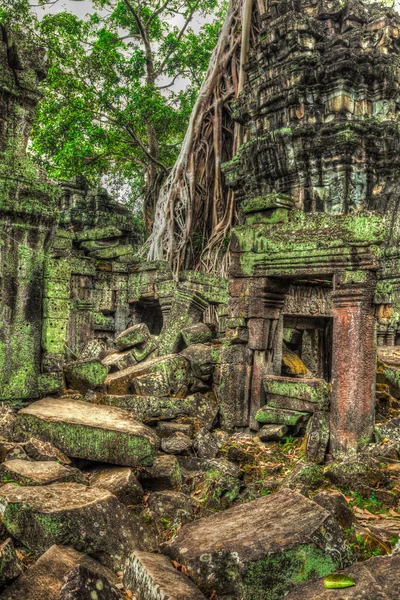 Antiguas ruinas y raíces de árboles, templo Ta Prohm, Angkor, Camboya — Foto de Stock