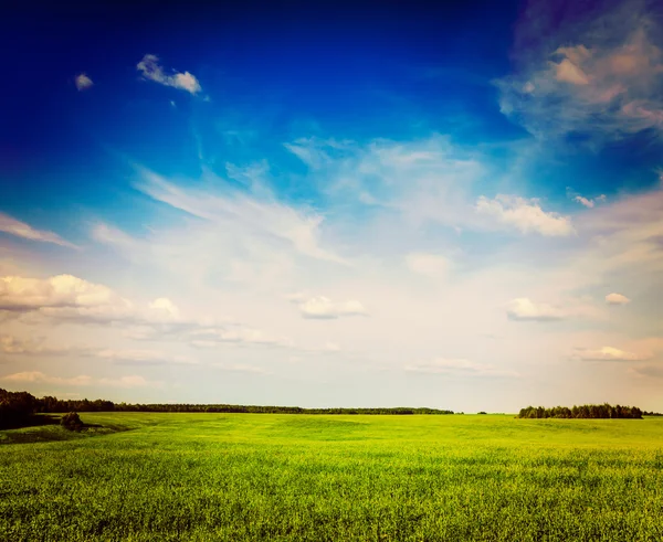 Primavera verano campo verde paisaje paisaje lanscape — Foto de Stock