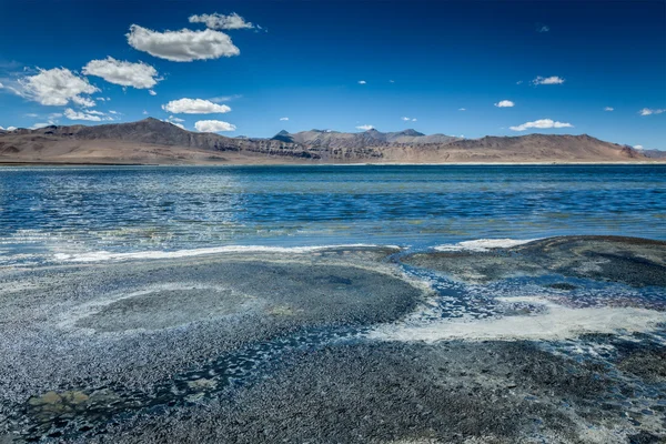 Himalayan lake Tso Kar in Himalayas, Ladakh, India Royalty Free Stock Images