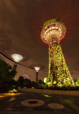 Bahçe tarafından defne fütüristik bölümü gece görünümü, Singapur