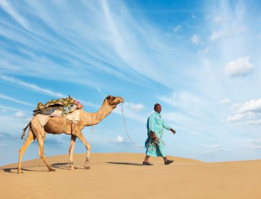 Develer Rajasthan, Hindistan ile cameleer (deve sürücüsü)