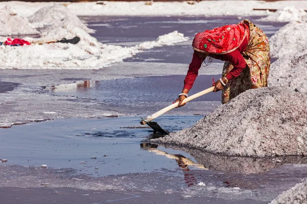 Kvinnor gruvdrift salt lake sambhar, rajasthan, Indien — Stockfoto