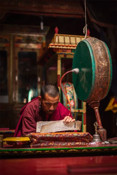 Mnich modlitwa. Hemis gompy, ladakh — Zdjęcie stockowe