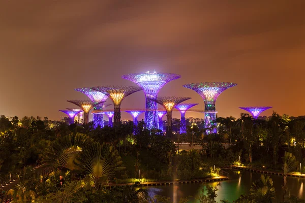 Bahçe tarafından defne fütüristik bölümü gece görünümü, Singapur — Stok fotoğraf