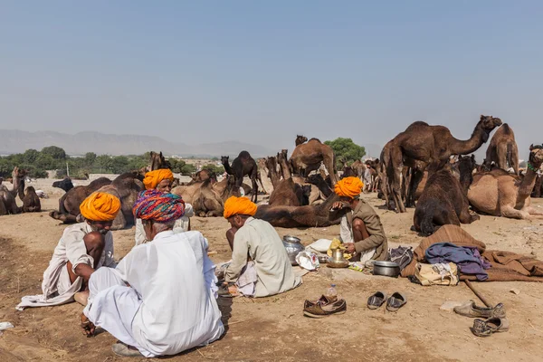 Indiska män och kameler på pushkar camel fair (pushkar mela) — Stockfoto