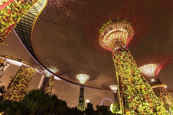 Bahçe tarafından defne fütüristik bölümü gece görünümü, Singapur — Stok fotoğraf