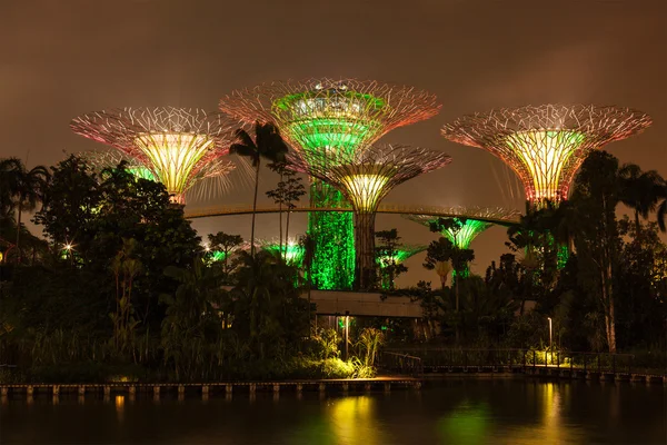 Bahçe tarafından defne fütüristik bölümü gece görünümü, Singapur — Stok fotoğraf