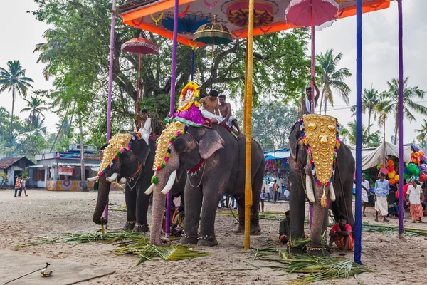 Decorated elephants with brahmins — Stock Photo, Image