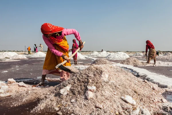 Kvinnor gruvdrift salt lake sambhar, rajasthan, Indien — Stockfoto