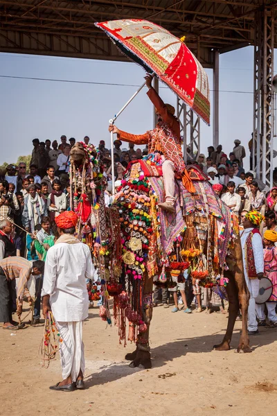 Muž zdobení svého velblouda velbloud dekorace soutěž v pushkar — Stock fotografie