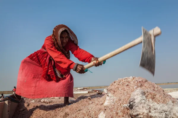 Kvinnor gruvdrift salt lake sambhar, rajasthan, Indien — Stockfoto