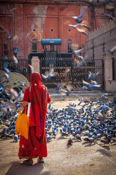 Mulher indiana em sari alimentando pombos na rua — Fotografia de Stock