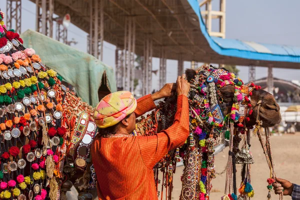 Hombre decorando su camello para el concurso de decoración de camellos en Pushkar —  Fotos de Stock