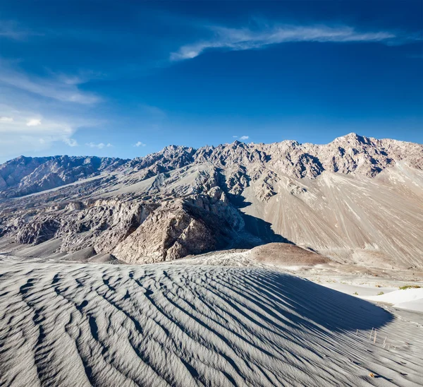 Písečné duny. údolí Nubra, Ladakhu, Indie — Stock fotografie