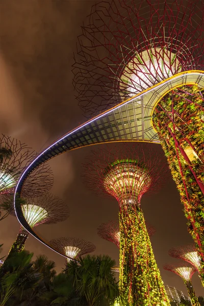 Ogród przez część futurystyczny Zatoka wgląd nocy, Singapur — Zdjęcie stockowe