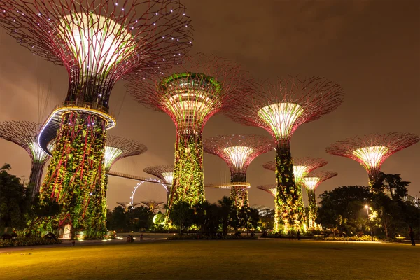 Bahçe tarafından defne fütüristik bölümü gece görünümü, Singapur — Stok fotoğraf