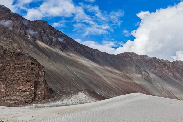 Sand dunes. Nubra valley, India — Stock Photo, Image