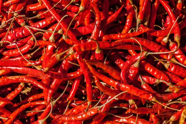 Červená pikantní chilli paprika — Stock fotografie