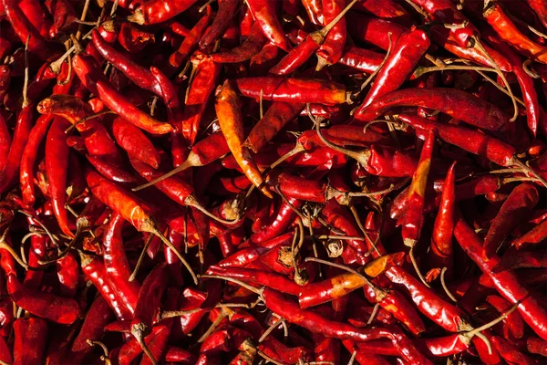 Červená pikantní chilli paprika — Stock fotografie