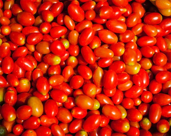 Tomates doces pequenos vermelhos — Fotografia de Stock