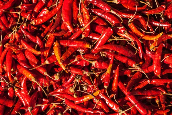 Červená pikantní chilli paprika — Stock fotografie