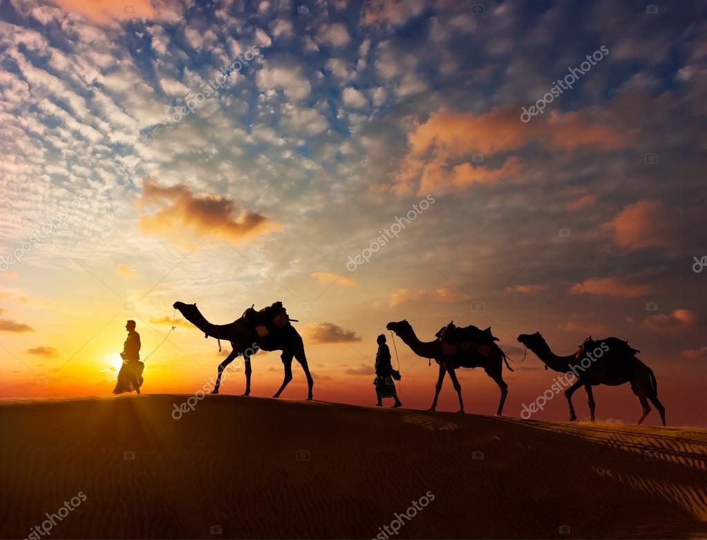 camels #hashtag
