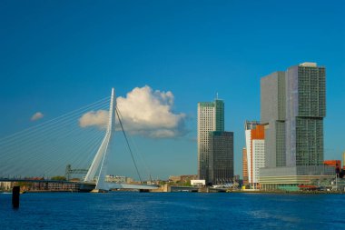 Rotterdam gökdelenleri ufuk çizgisi ve Nieuwe Maas nehri üzerindeki Erasmusbrug köprüsü. Rotterdam