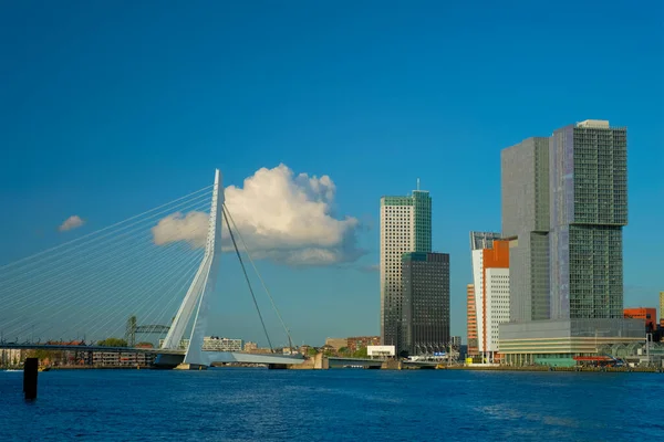 Rotterdam gökdelenleri ufuk çizgisi ve Nieuwe Maas nehri üzerindeki Erasmusbrug köprüsü. Rotterdam — Stok fotoğraf