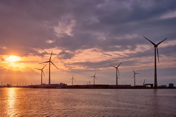 Wind turbines in Antwerp port on sunset. — Stock Photo, Image