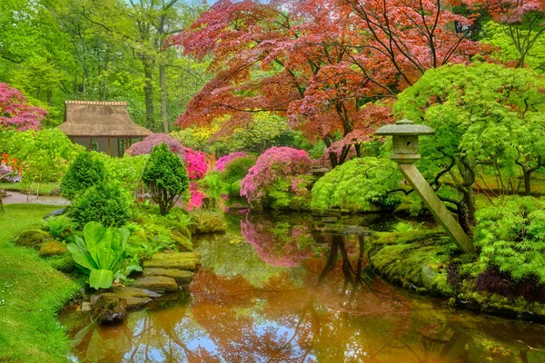 Japonská zahrada, Park Clingendael, Haag, Nizozemsko — Stock fotografie