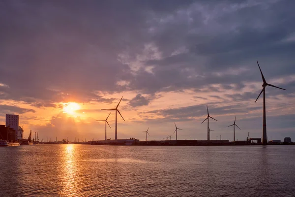 Turbinas eólicas en el puerto de Amberes al atardecer. — Foto de Stock