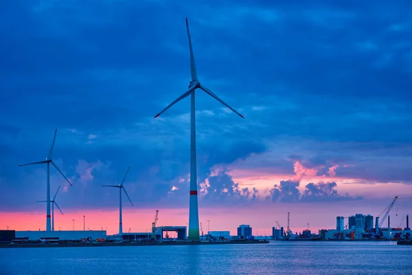 Turbine eoliche nel porto di Anversa la sera — Foto Stock