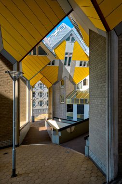 Hollanda, Rotterdam 'da küp evler